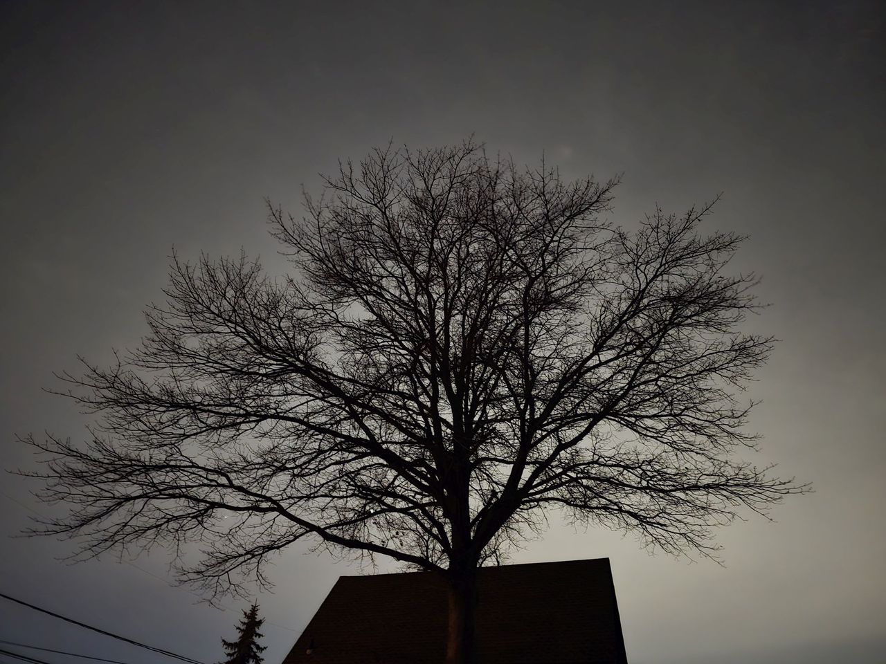 Samsung Galaxy S24 Ultra low light sample.