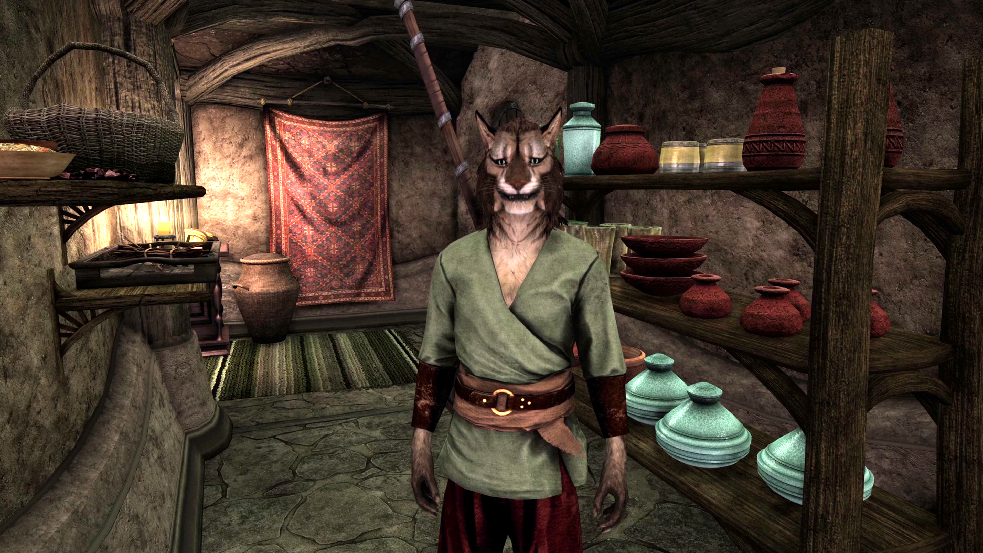  Skywind, the ambitious mod remaking Morrowind in Skyrim, has over 3,000 characters—three times as many as the original Skyrim 