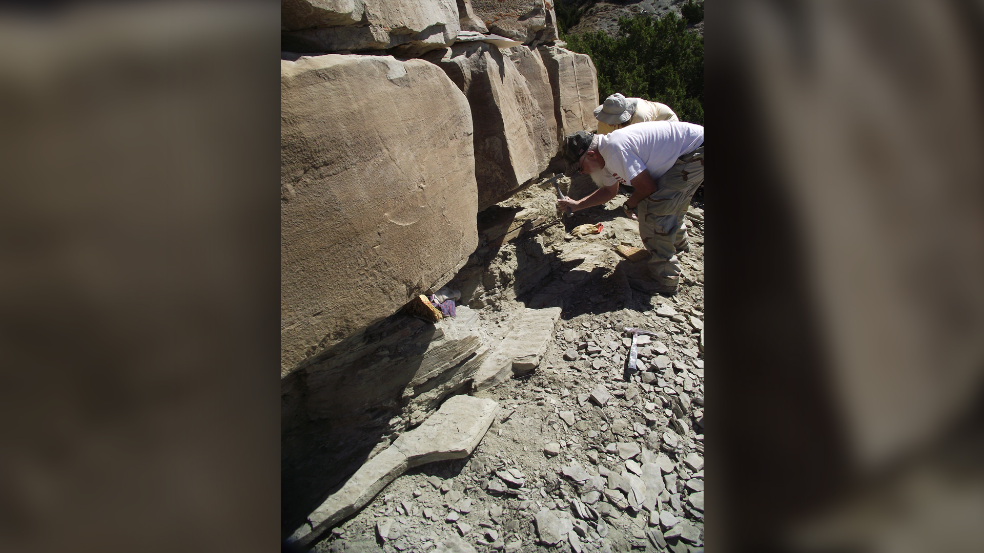 Dwaine Wagoner (left) and Beth Shively (right), volunteers at the Tate Geological Museum at Casper College, help excavate the trackway.