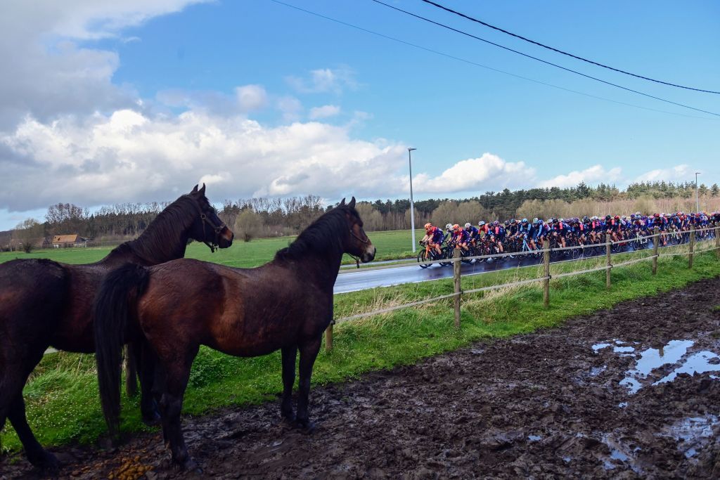 Pack of riders compete during the womens elite race of the Classic BruggeDe Panne oneday cycling race from Brugge to De Panne on March 23 2023 Photo by DIRK WAEM Belga AFP Belgium OUT Photo by DIRK WAEMBelgaAFP via Getty Images