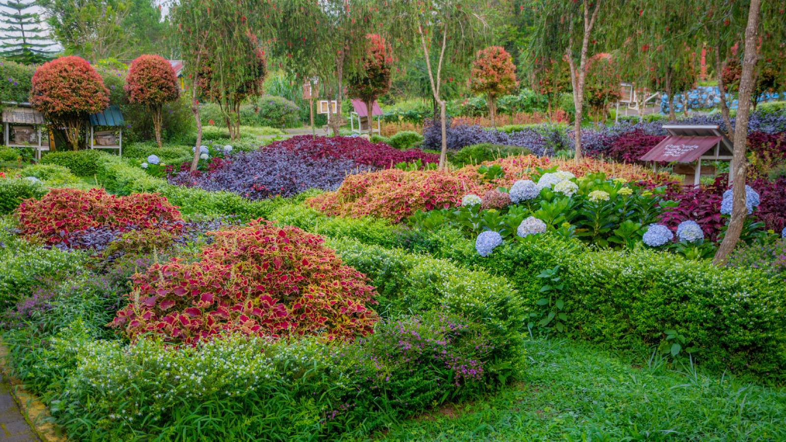 A garden of colorful shrubs