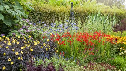 How to plant bulbs – Summer bulbs in border including crocosmia, alliums and dahlias