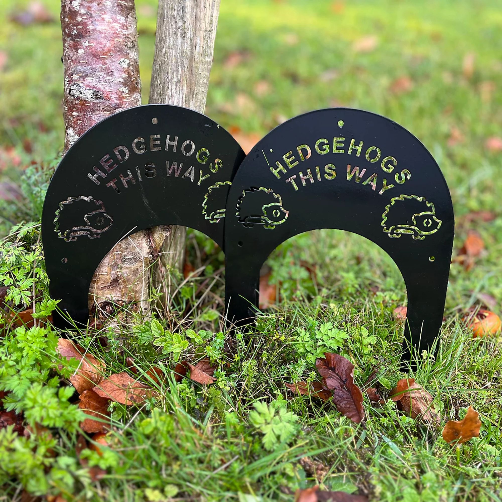 hedgehog highway gates B&amp;amp;Q