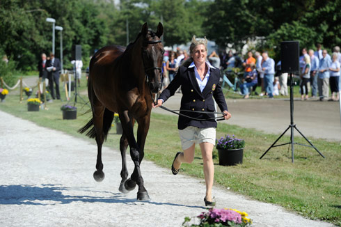 Tina Cook and Miners Frolic at the 2013 European Eventing Championships first trot-up