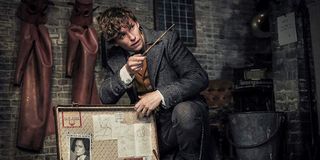 Newt Scamander in Fantastic Beasts: The Crimes of Grindelwald