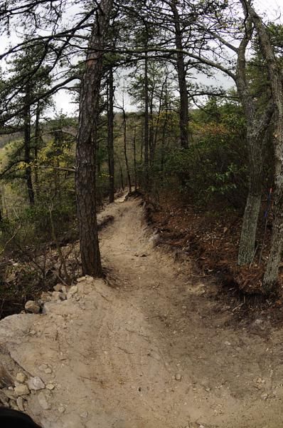 Brand new trail on the Massanutten Yee Ha! course.