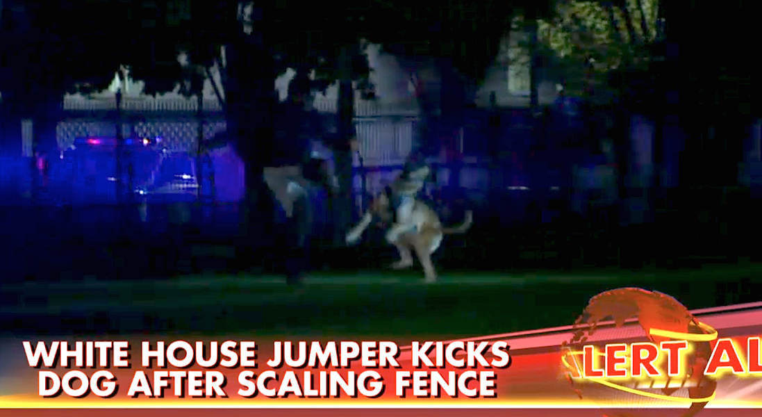We have another White House fence jumper The Week