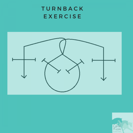 The turnback jumping exercise