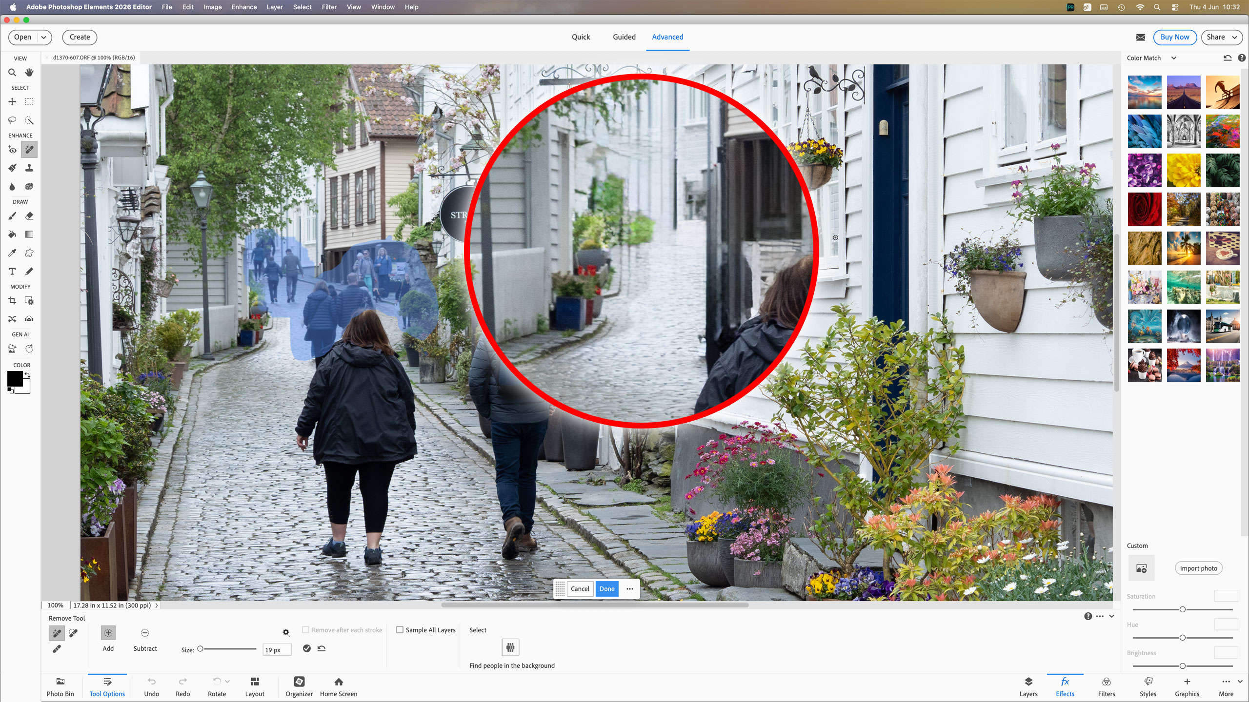 Adobe Photoshop Elements 2026 screenshot