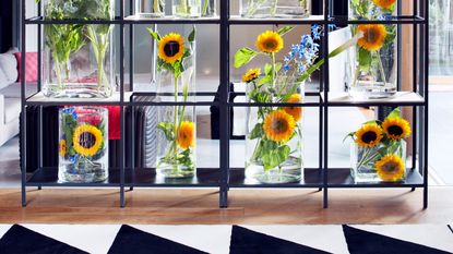 How to care for sunflowers in a vase – tricks to keep these happy blooms looking their best