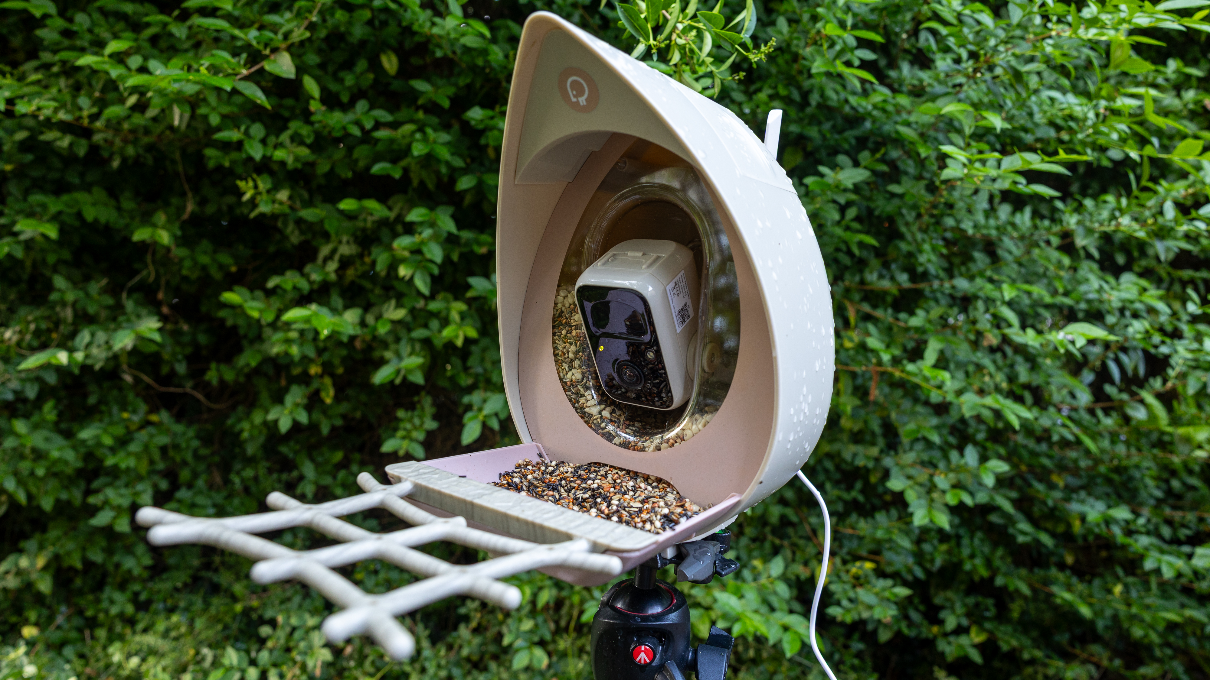 The PeckPerk bird feeder camera on a tripod on a wet day