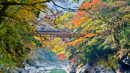 The Iya valley and Kazurabashi vine bridge in Shikoku, Japan