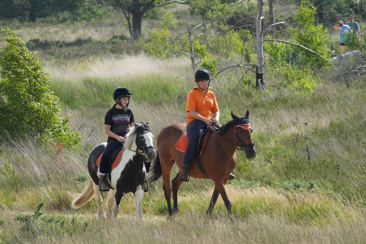 Sony RX10 V bridge camera sample gallery, two horse riders in a nature reserve