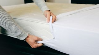 A man putting a mattress protector on a mattress