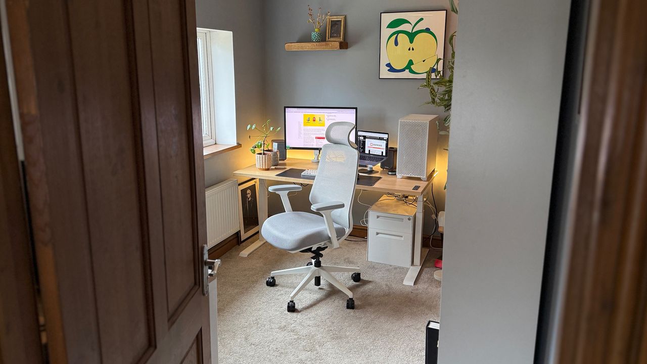 The Ergonomic Chair Pro in a home office, facing a window.