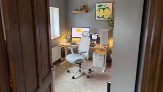 The Ergonomic Chair Pro in a home office, facing a window.