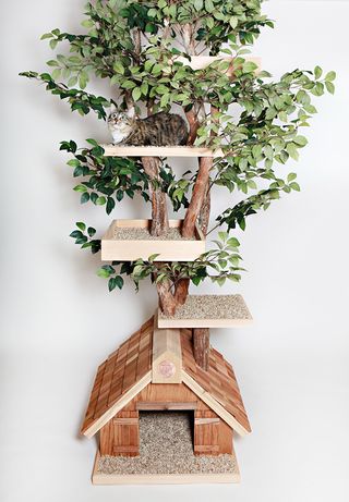 Cat tree house