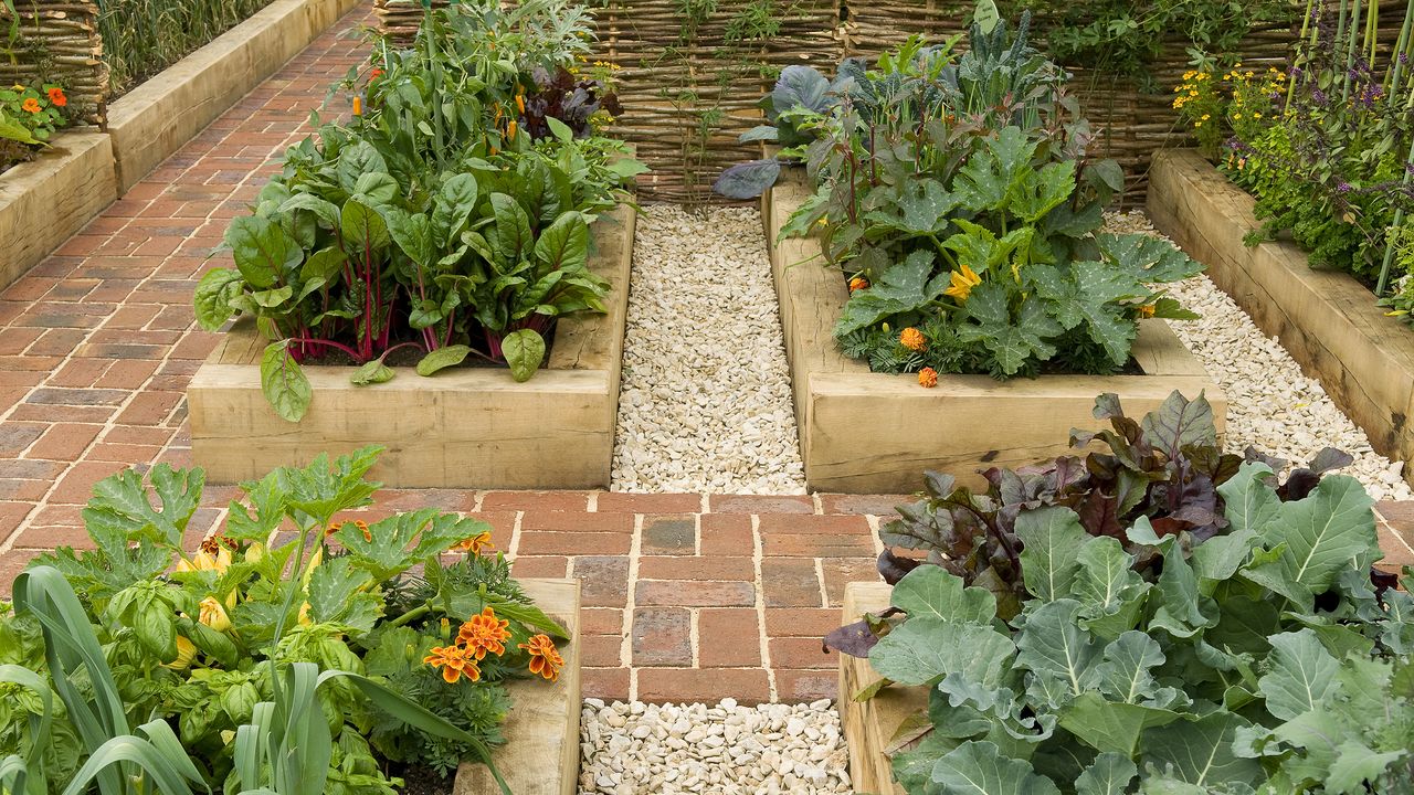 Raised garden beds set out in grid design in stylish land