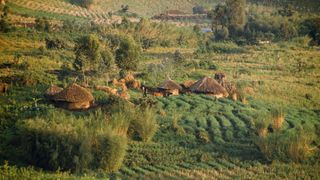 A traditional farming village and surrounding plowed fields in Zaire, Democratic Republic of the Congo, Africa.