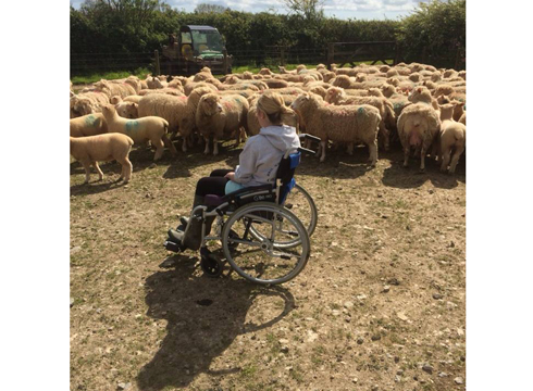 Being used as a sheepdog &amp;mdash; my brother's (Jamie) comment was &amp;quot;That will do Suz, that'll do!!&amp;quot; off the film Babe
