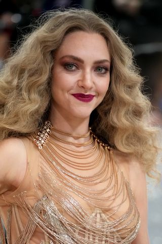 Amanda Seyfried attends The 2023 Met Gala Celebrating "Karl Lagerfeld: A Line Of Beauty" at The Metropolitan Museum of Art on May 01, 2023 in New York City. (Photo by Jamie McCarthy/Getty Images)