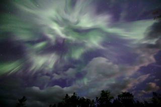 A stunning image of the northern lights captured by photographer Shawn Malone in the early morning on June 23 from Marquette, Michigan.