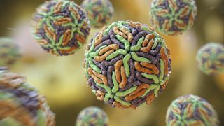 an illustration of multicolored virus particles shaped like the Zika virus with green, orange and purple proteins tessellated on their surfaces
