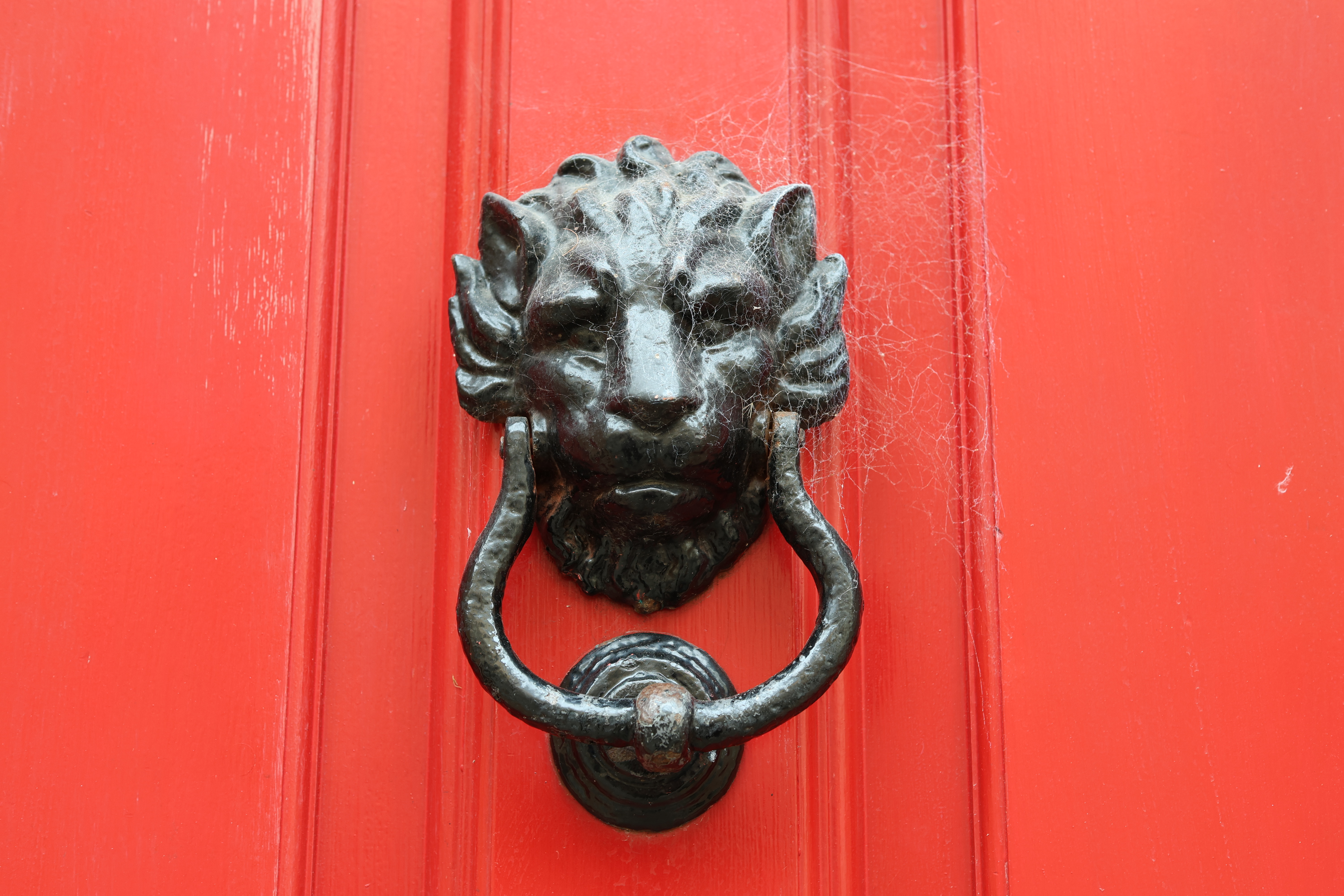 Canon RF 45mm f/1.2 STM sample image