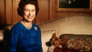 Queen Elizabeth II smiles during a picture-taking session in the salon at Sandringham House. Her pet dog looks up at her. 1970