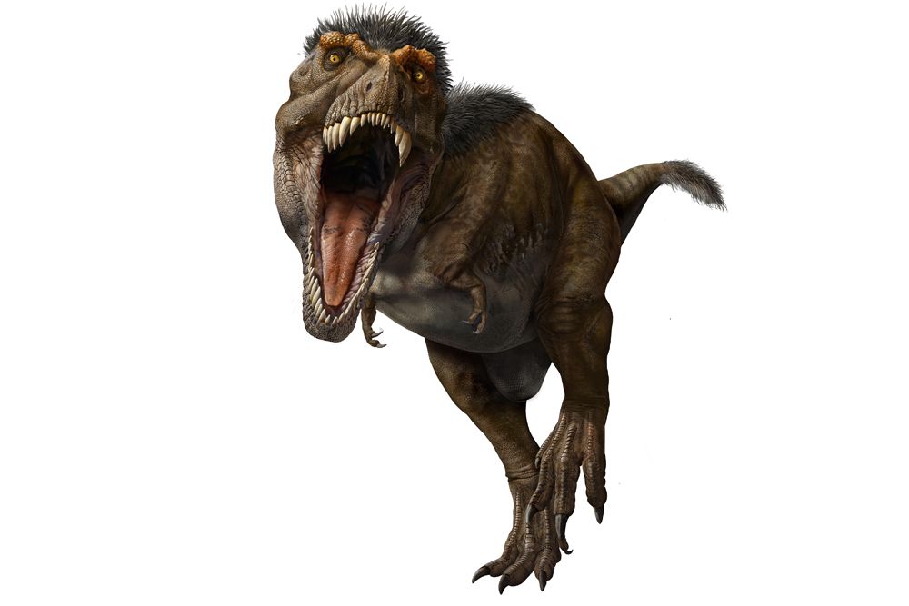 In Images: A New Look at T. Rex and Its Relatives: Page 2 | Live Science
