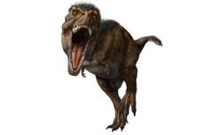 t. rex: the ultimate predator