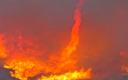Firenado