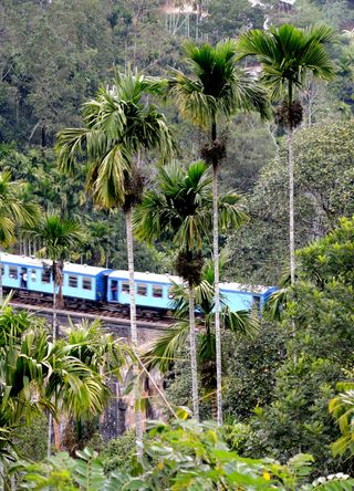 Ella, Sri Lanka