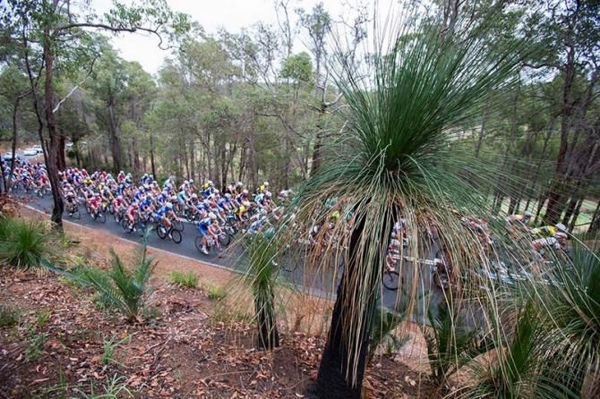 The riders were treated to a scenic loop around the Perth Hills, not that they had time to enjoy it