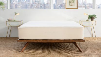 最好的床垫保护器在床上白色床单和旁边的植物