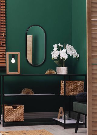 Bold green hallway