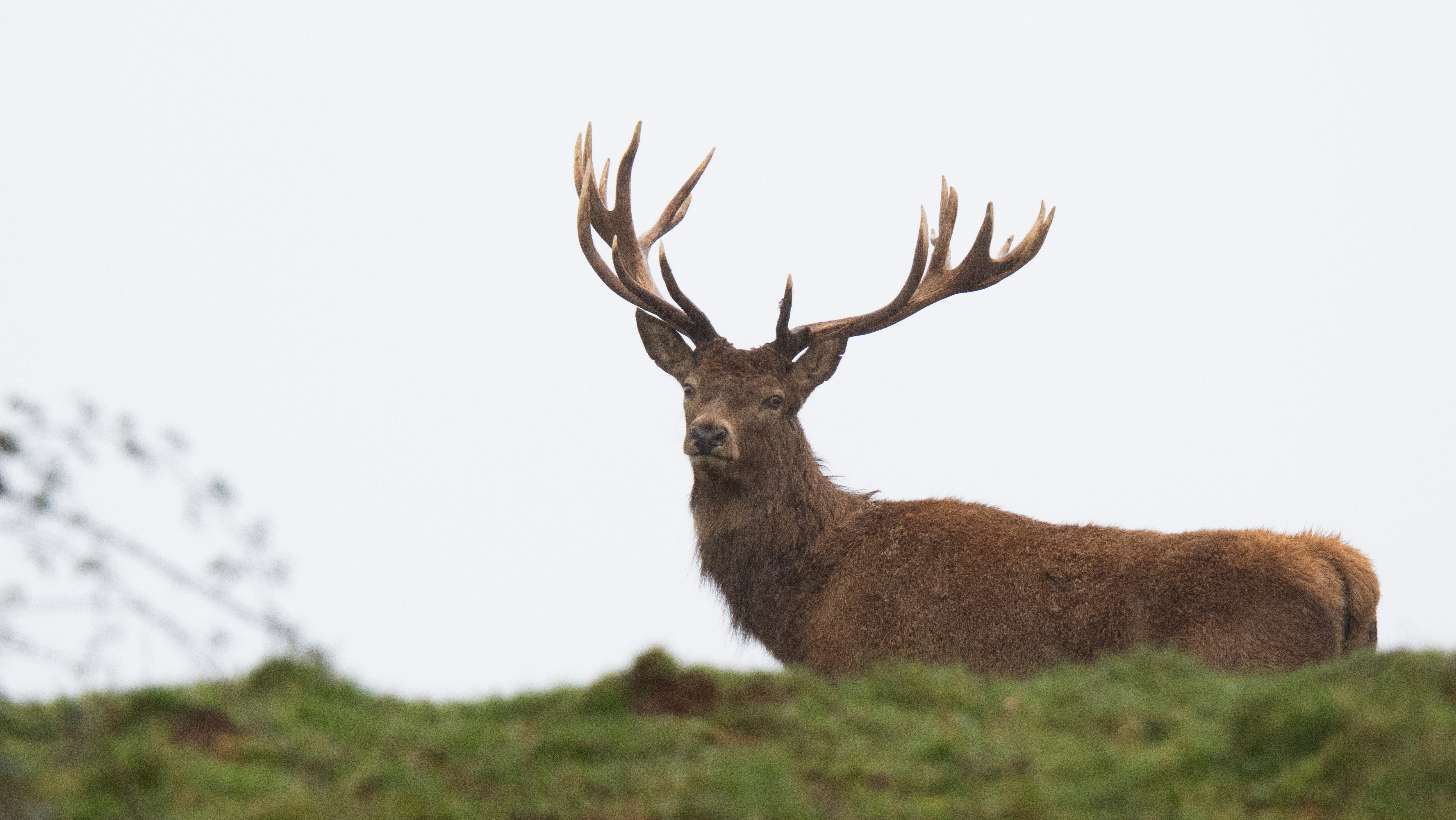 A photo taken on an OM System OM-1 Mark II Micro Four Thirds mirrorless camera