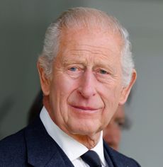 A headshot of King Charles wearing a suit and tie