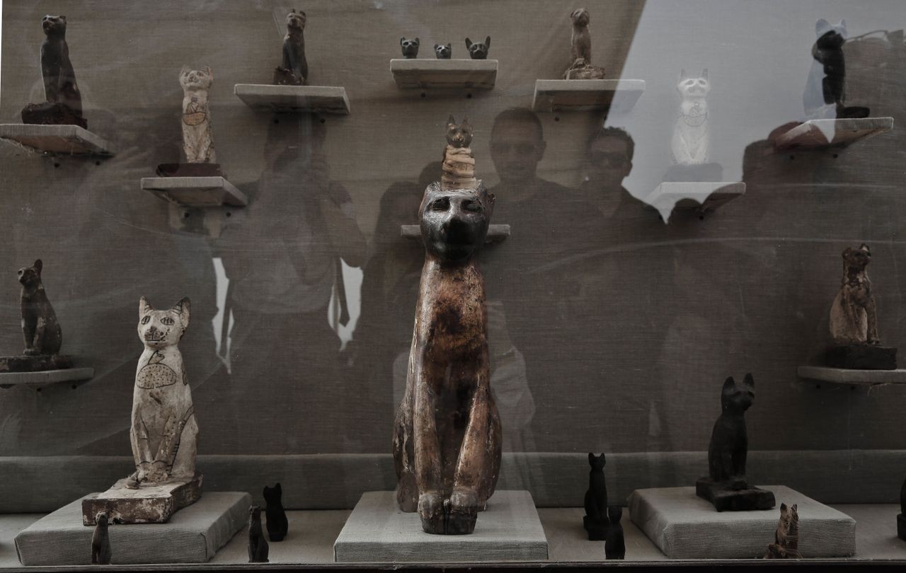 Cat statues recently discovered in an ancient Egyptian tomb.