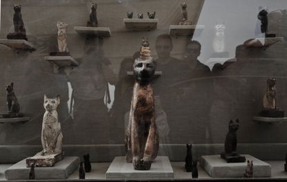 Cat statues recently discovered in an ancient Egyptian tomb.