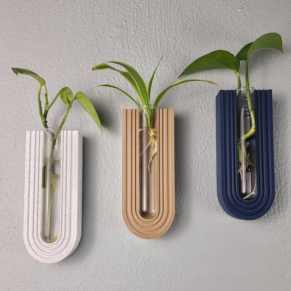 Arched propagation stations hanging on wall with plants in them