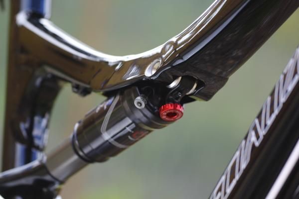 Specialized Safire detail