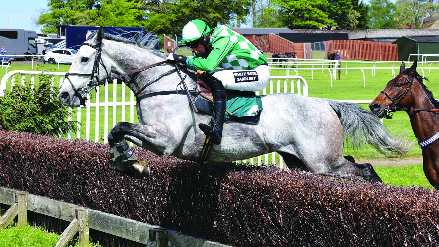 EL TORNADO and John Dawson win the 2m4f Maiden at the Haydon Hunt Point-To-Point , Hexham 14/5/22 Photo by John Grossick -GROSSICK RACING The Steadings Rockhallhead Collin DG1 4JW 07710461723 www.grossick.co.uk JOHN GROSSICK
