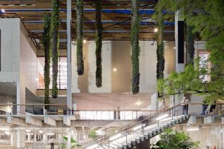 A long-shot of the tropical plants hanging from the ceiling inside the building.