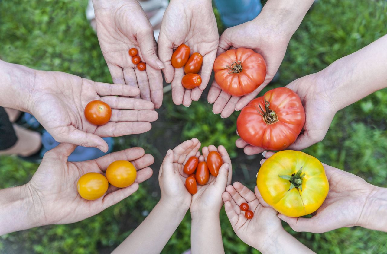 Deutschland, Bayern, München, Urban Gardening Projekt