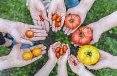 Deutschland, Bayern, München, Urban Gardening Projekt