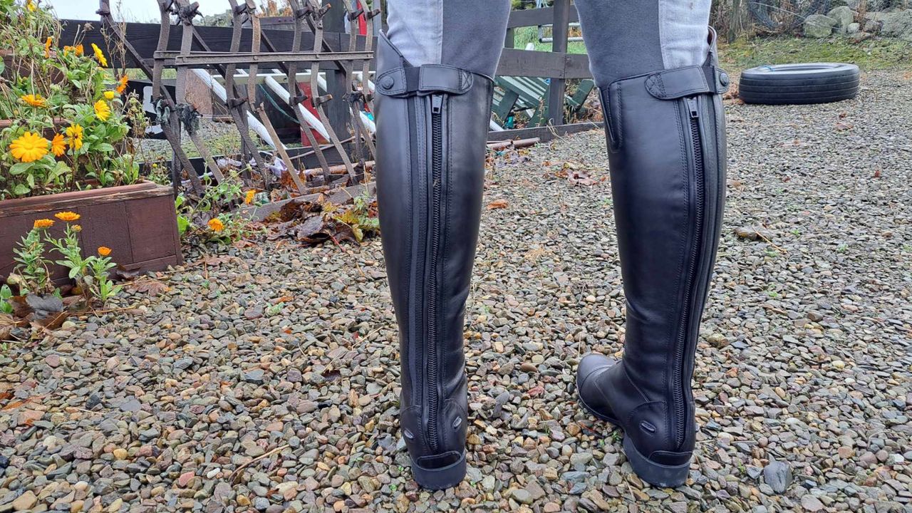 Ariat Heritage Contour Field boots from rear