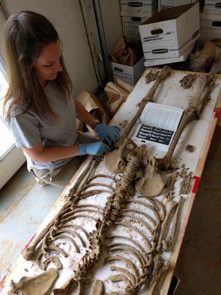 Researcher Chelsea Cordle organizes remains in anatomical order.