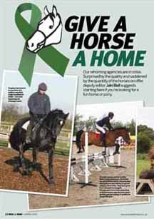 Give-a-horse-a-home.jpg