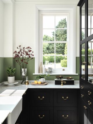 Black kitchen with green and white color block walls